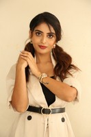 Actress Ananya Nagalla Pictures